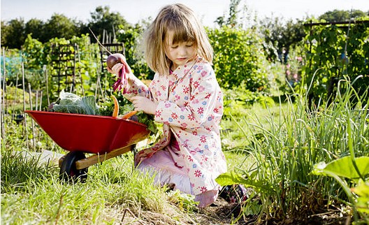 Jardiner Avec Ses Enfants Cr Er Leur Premier Potager